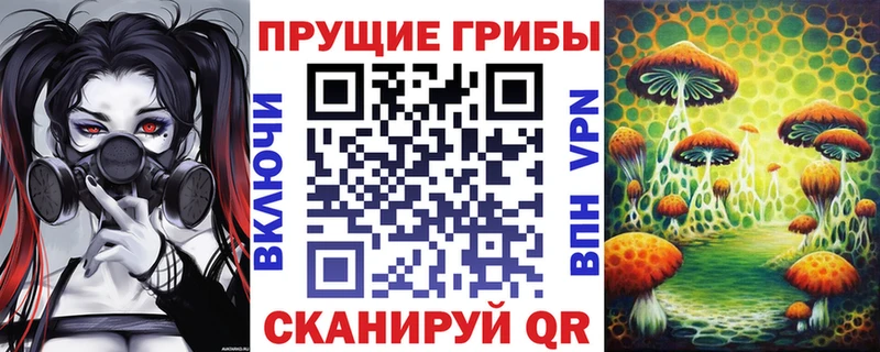 что такое   Старая Русса  Галлюциногенные грибы Cubensis 